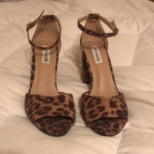 Steve Madden Cheetah Print with Red Rose Heels